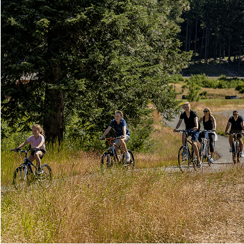 Five people ride bicycles on a paved path through a grassy area with tall trees in the background.