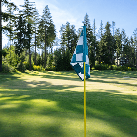 A blue and white checkered golf flag stands on a putting green, surrounded by trees under a clear sky.