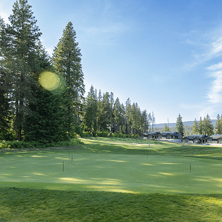 A golf green with flagsticks, surrounded by tall pine trees and houses under a clear blue sky.