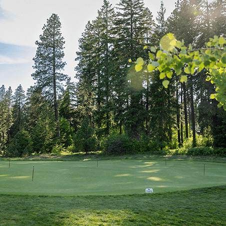 A green putting area with several golf holes is surrounded by tall pine trees and lush greenery under a partly cloudy sky.
