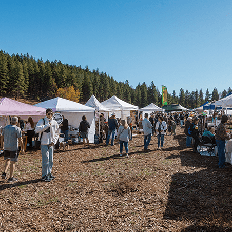 People walk among white tents and vendor booths at an outdoor market set in a clearing bordered by pine trees under a clear blue sky.