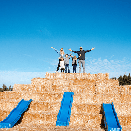 Four people stand with arms outstretched on top of a hay bale pyramid with blue slides, under a clear blue sky.
