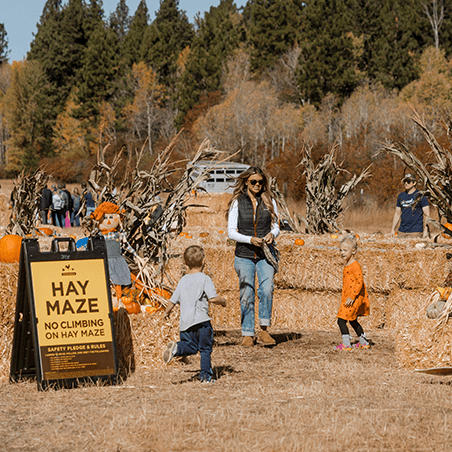 Adults and children walk near a hay maze with autumn decorations. A sign reads “Hay Maze: No Climbing on Hay Maze.” Trees with fall foliage are in the background.