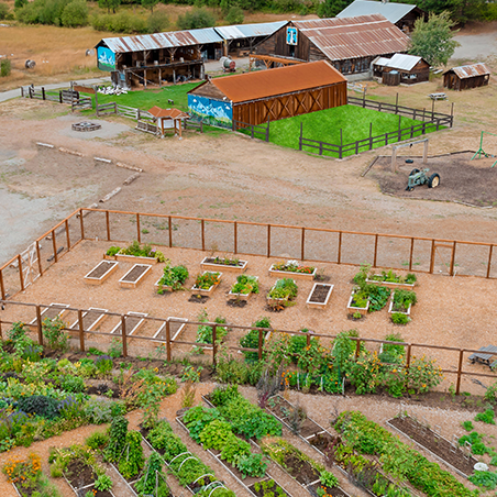 Aerial view of a farm with raised garden beds, a fenced area, a tractor, and several rustic buildings surrounded by trees.