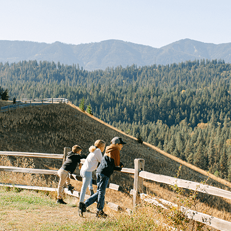Three people lean on a wooden fence, looking out over a forested valley with mountains in the background under a clear sky.