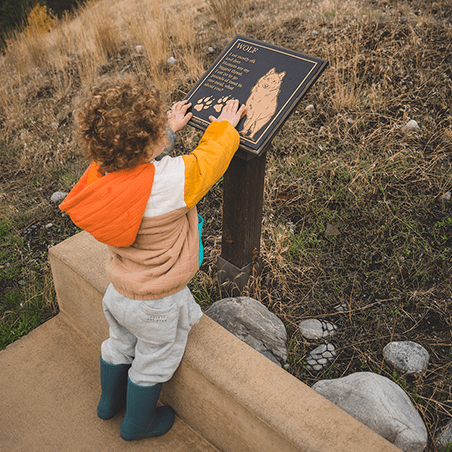 A child in rain boots touches a sign with wolf information and paw prints at an outdoor area with dry grass and rocks.