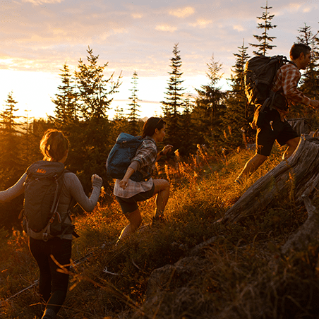 Three people wearing backpacks hike uphill through a sunlit forested area at sunset.