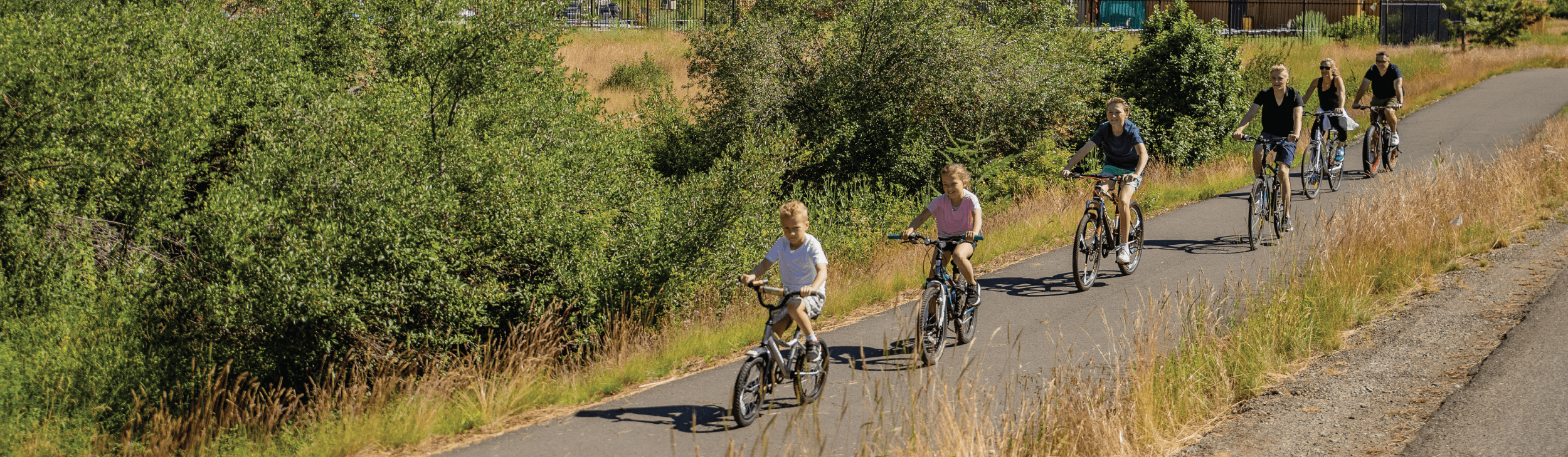 A group of six people ride bicycles on a paved path surrounded by grass and bushes on a sunny day.