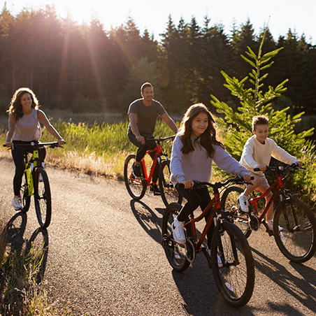 Four people ride bikes together on a paved path through a sunlit forested area.