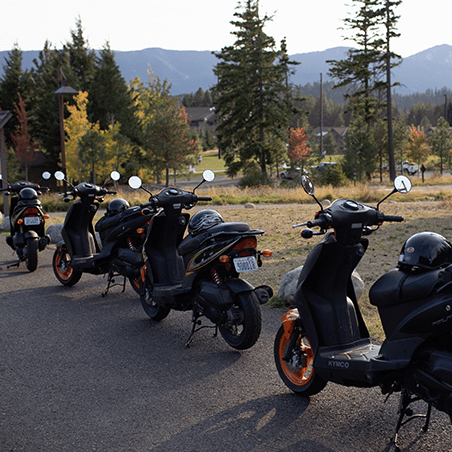 A row of parked scooters lines a paved path with trees, grassy areas, and mountains visible in the background.