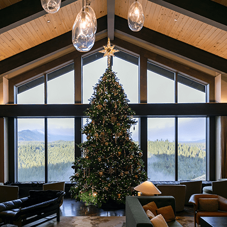 A large decorated Christmas tree stands in the center of a modern living room with floor-to-ceiling windows overlooking a forested landscape.