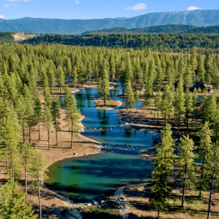 Aerial view of a winding river flowing through a forest with tall pine trees, surrounded by green hills and distant mountains under a blue sky with scattered clouds.