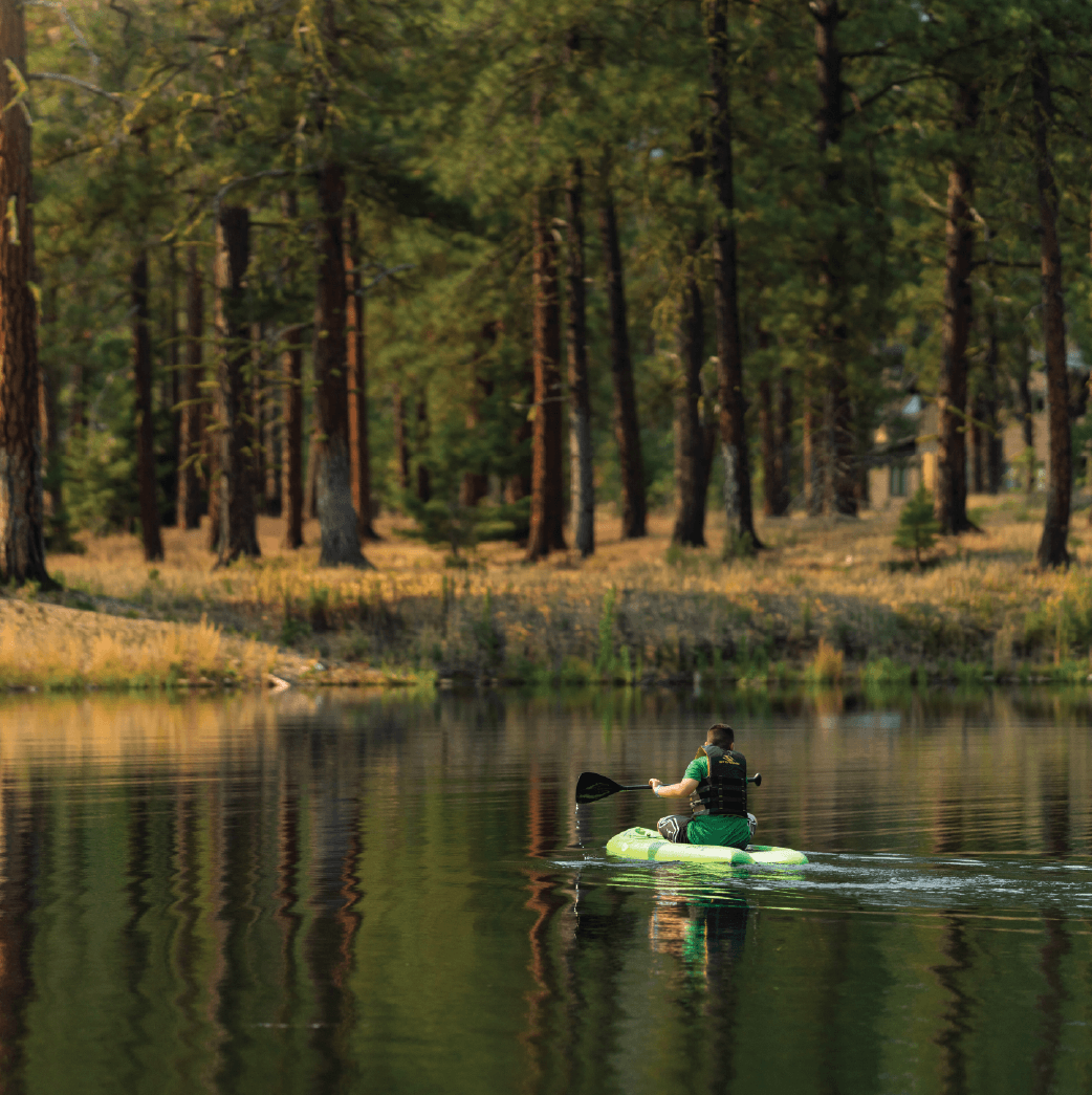 A person in a green kayak paddles across a calm lake surrounded by tall pine trees and grassy shoreline under soft, natural light.