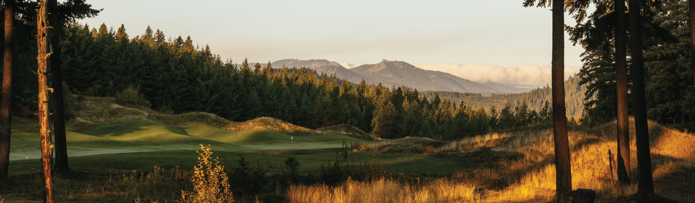 Scenic view of a golf course surrounded by trees with mountains in the background, bathed in warm, golden sunlight in the late afternoon or early evening.